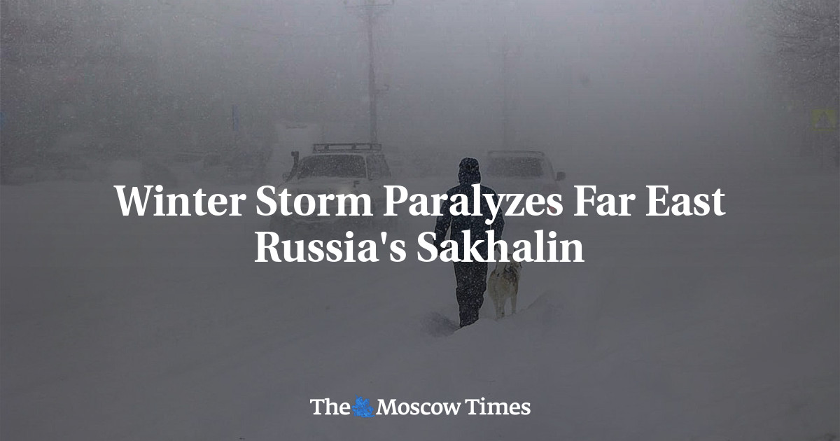 Winter Storm Paralyzes Far East Russia's Sakhalin - The Moscow Times
