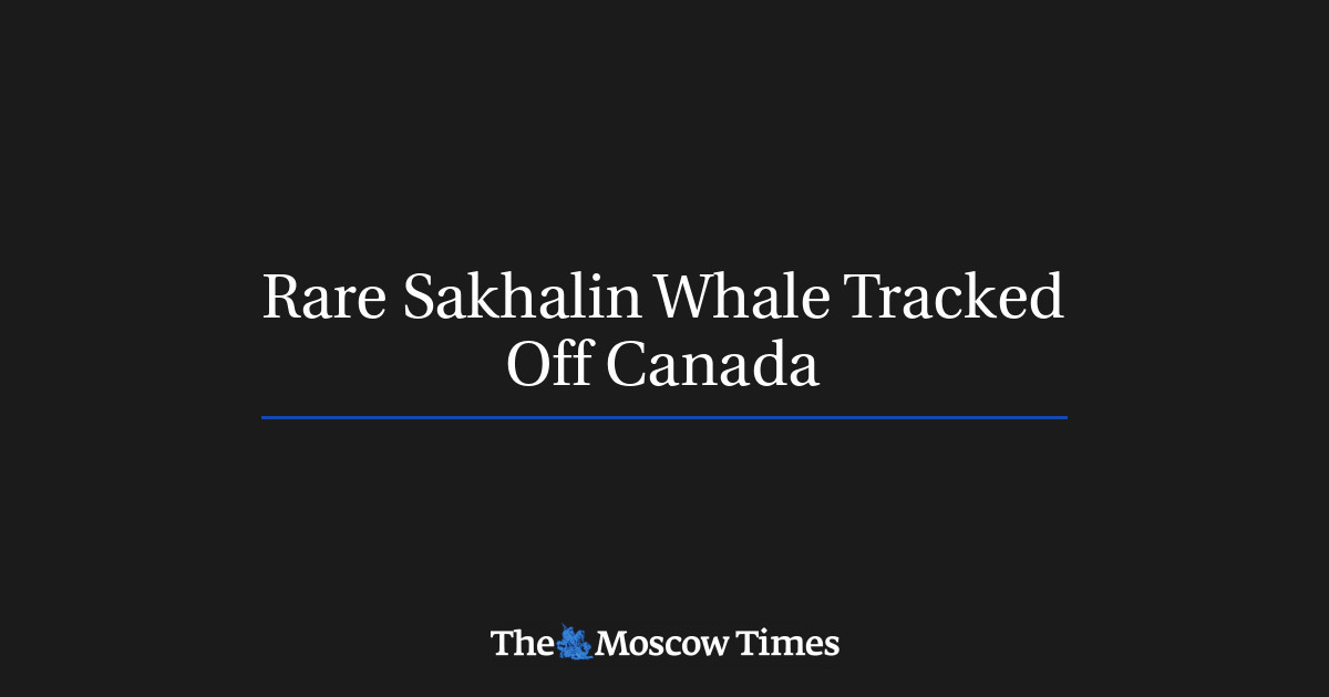 Rare Sakhalin Whale Tracked Off Canada