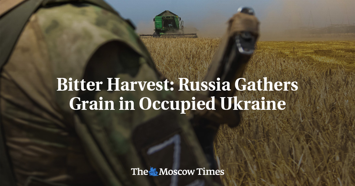 Горькая жатва: Россия собирает урожай на оккупированной Украине