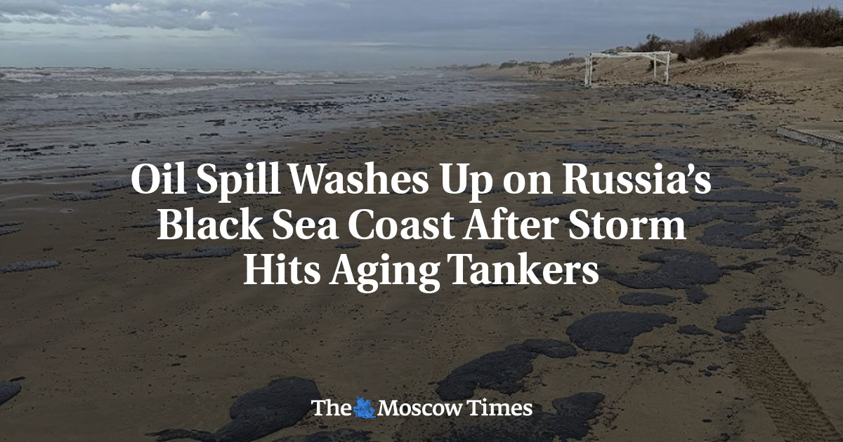 Oil Spill Washes Up on Russia’s Black Sea Coast After Storm Hits Aging Tankers