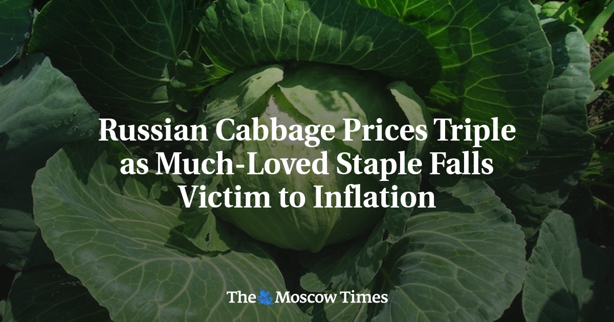 Harga kubis Rusia tiga kali lipat karena bahan pokok yang sangat disukai menjadi korban inflasi