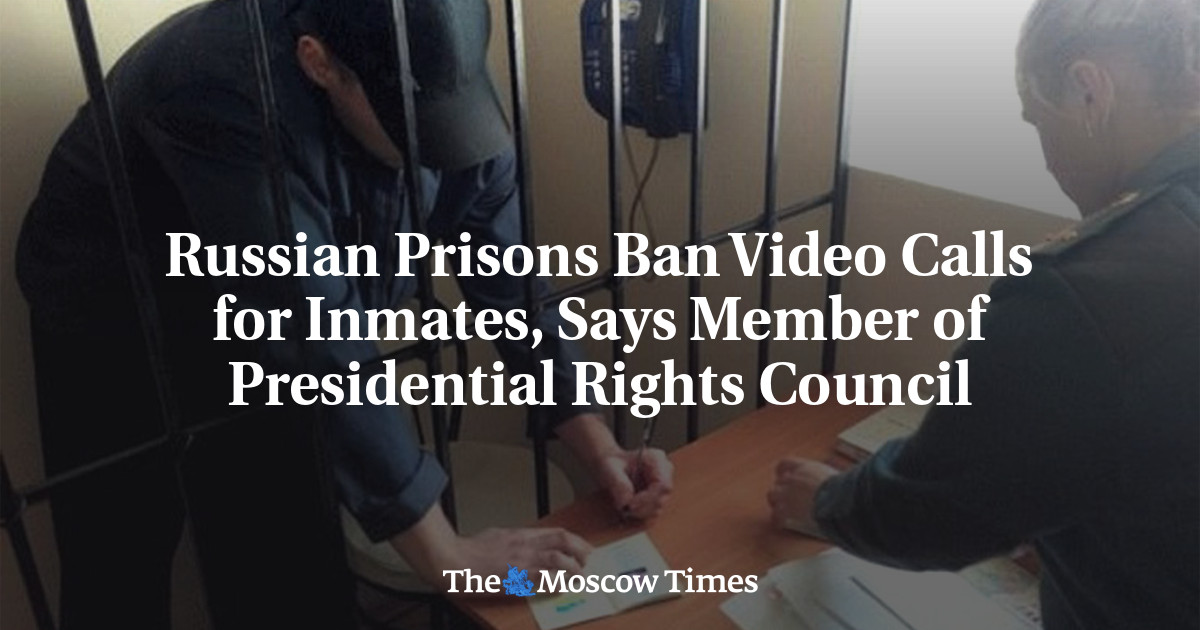 Russian Prisons Ban Video Calls for Inmates, Says Member of ...