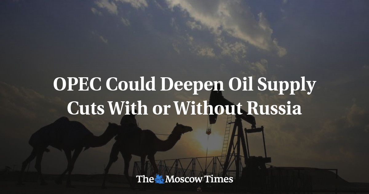 OPEC Could Deepen Oil Supply Cuts With or Without Russia - The Moscow Times