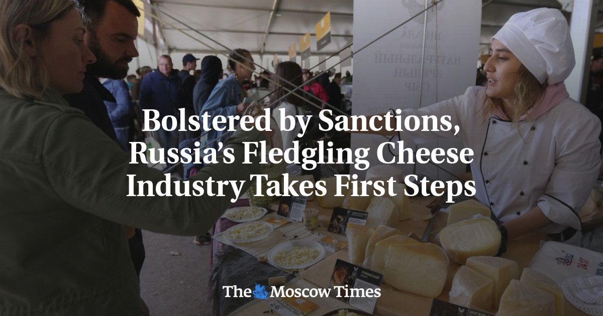 Putin's sanctions war created a Russian cheese industry overnight