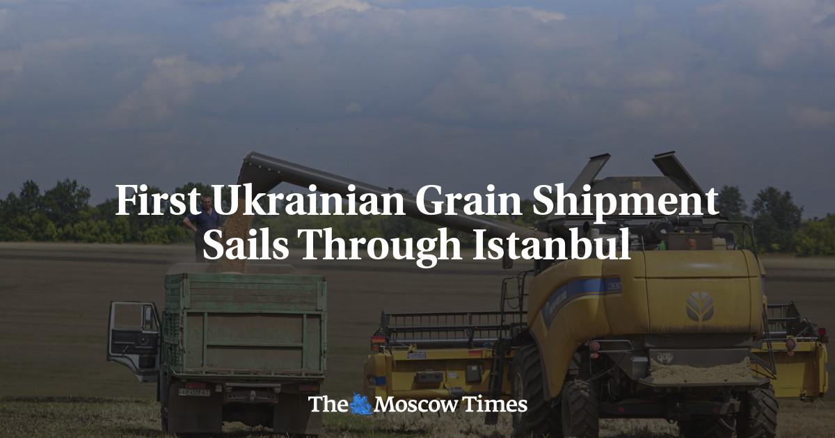 Pengiriman biji-bijian Ukraina pertama berlayar melalui Istanbul