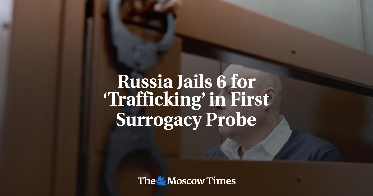 Russia Jails 6 for ‘Trafficking’ in First Surrogacy Probe