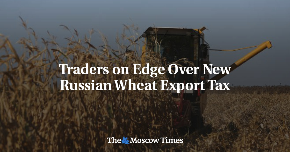 Pedagang gelisah atas pajak ekspor gandum Rusia yang baru
