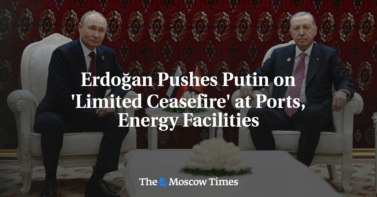 Erdoğan Pushes Putin on 'Limited Ceasefire' at Ports, Energy Facilities