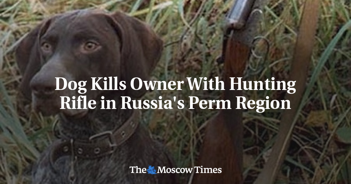 Dog Kills Owner With Hunting Rifle in Russia's Perm Region