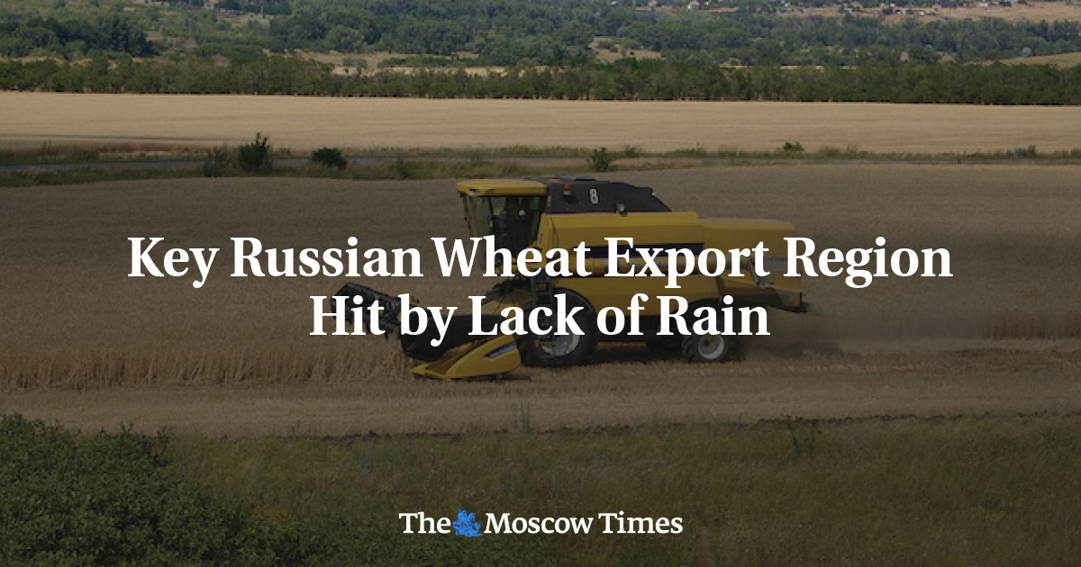 Wilayah pengekspor gandum utama Rusia dilanda kurangnya hujan