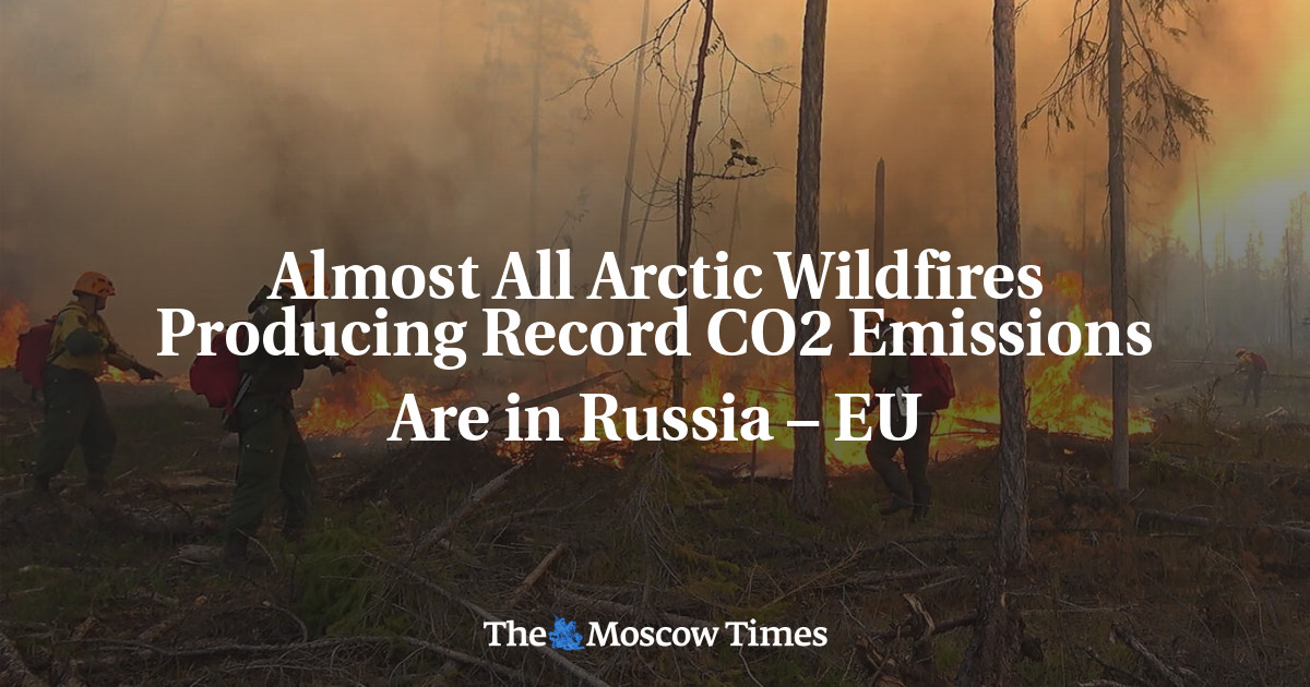 Hampir semua kebakaran hutan Arktik yang menghasilkan rekor emisi CO2 terjadi di Rusia – UE