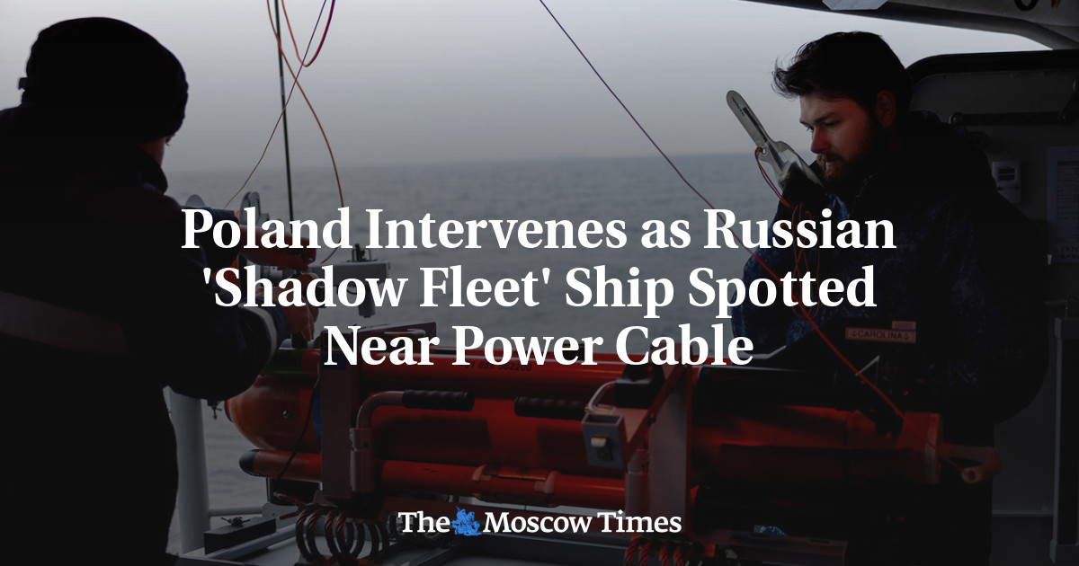 Poland Says Russian Ship Performed 'Suspicious Maneuvers' Near Cable to Sweden