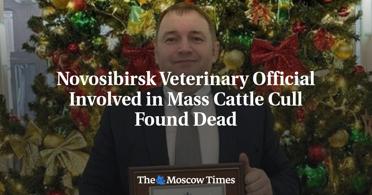 Novosibirsk Veterinary Official Involved in Mass Cattle Cull Found Dead