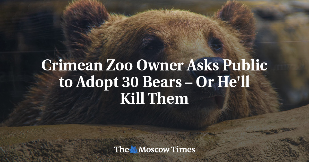 Crimean Zoo Owner Asks Public to Adopt 30 Bears – Or He'll Kill Them - The  Moscow Times