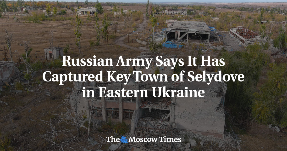 Russian Army Says It Has Captured Key Town of Selydove in Eastern Ukraine