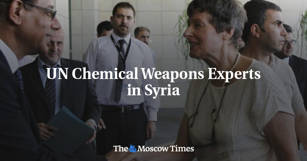 UN Chemical Weapons Experts in Syria