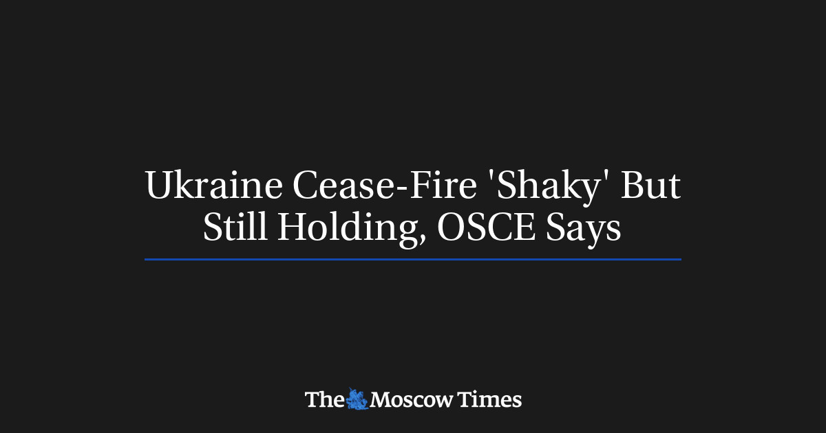 Gencatan senjata di Ukraina ‘goyah’ tetapi masih bertahan, kata OSCE