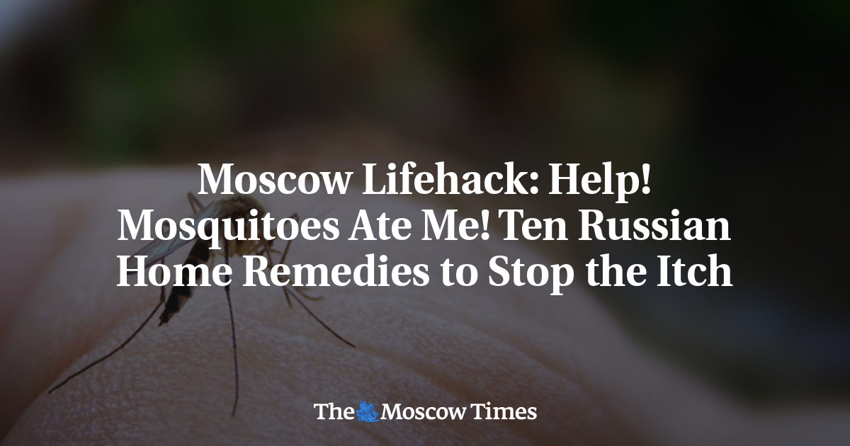 Moscow Lifehack Help! Mosquitoes Ate Me! Ten Russian Home Remedies to