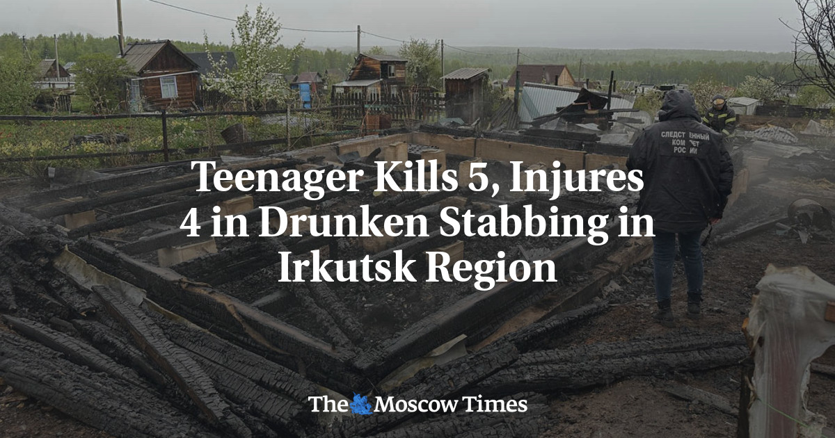 Teenager Kills 5, Injures 4 in Drunken Stabbing in Irkutsk Region