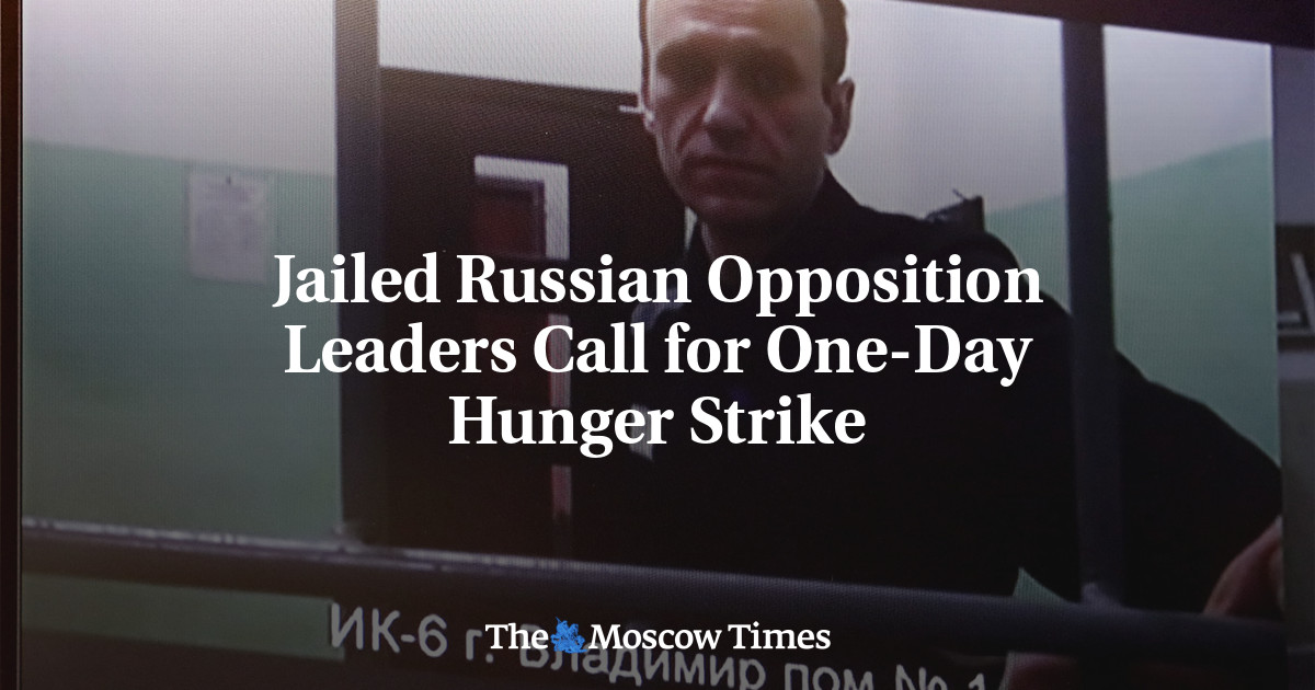 Jailed Russian Opposition Leaders Call For One-Day Hunger Strike - The ...