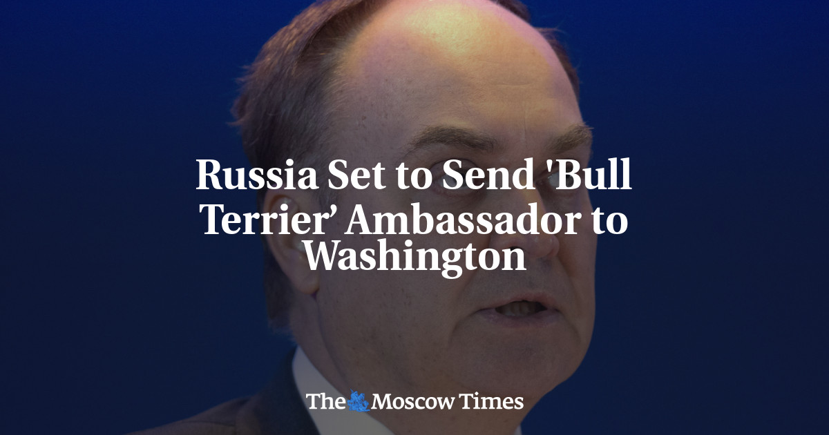 Rusia akan mengirim duta besar ‘Bull Terrier’ ke Washington