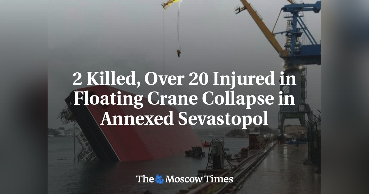 2 Killed, Over 20 Injured in Floating Crane Collapse in Annexed Sevastopol
