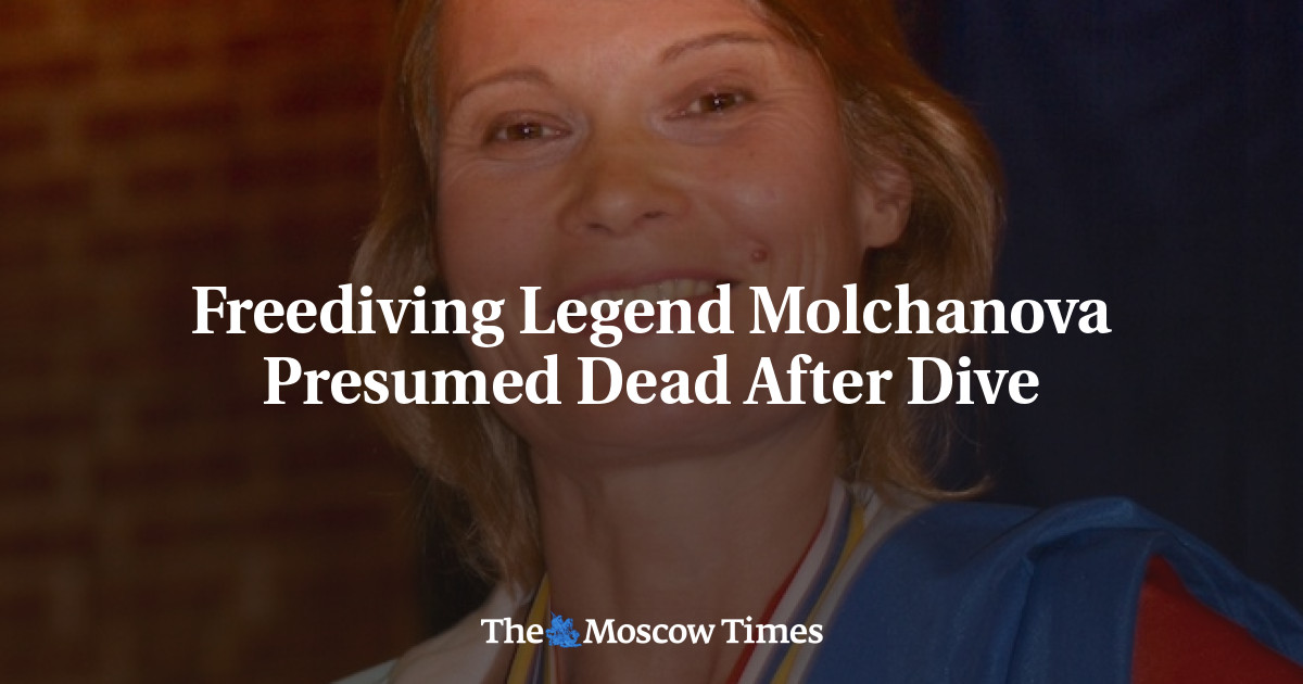 Legenda selam bebas Molchanova diduga tewas setelah menyelam