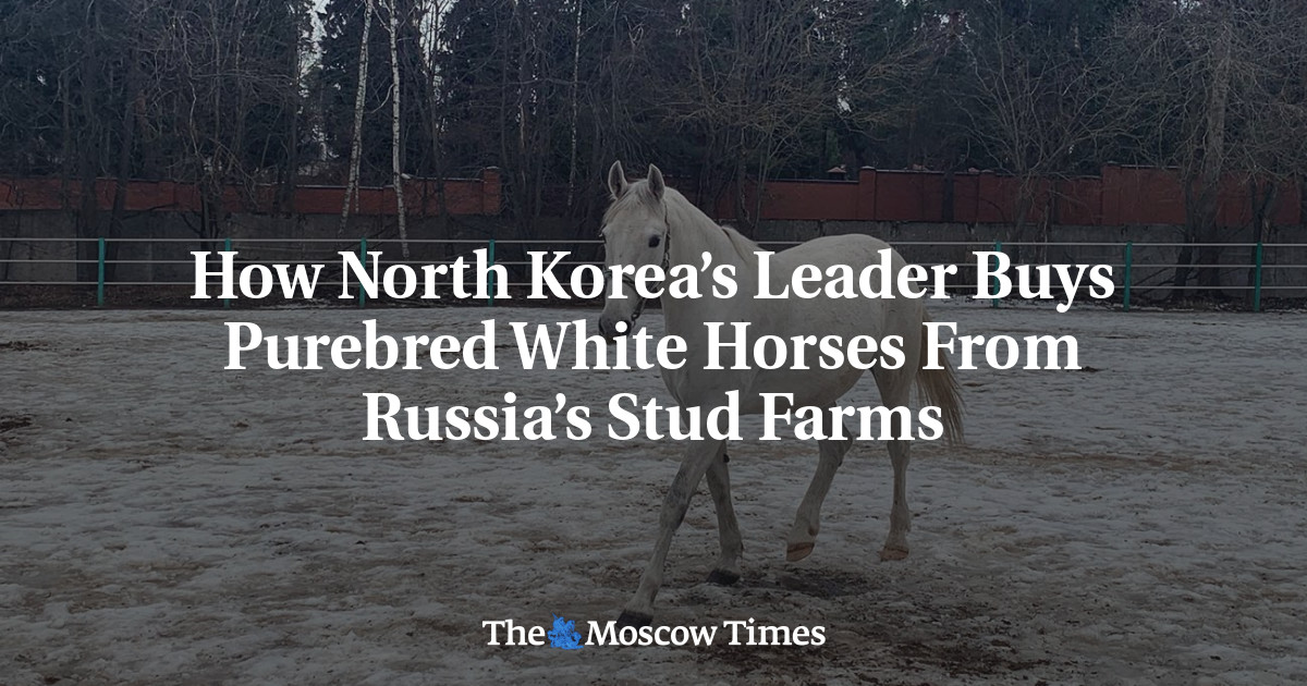How North Korea’s Leader Buys Purebred White Horses From Russia’s Stud