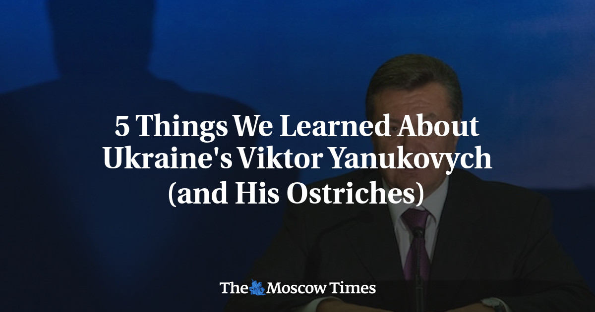 5 hal yang kami pelajari tentang Viktor Yanukovych dari Ukraina (dan burung untanya)