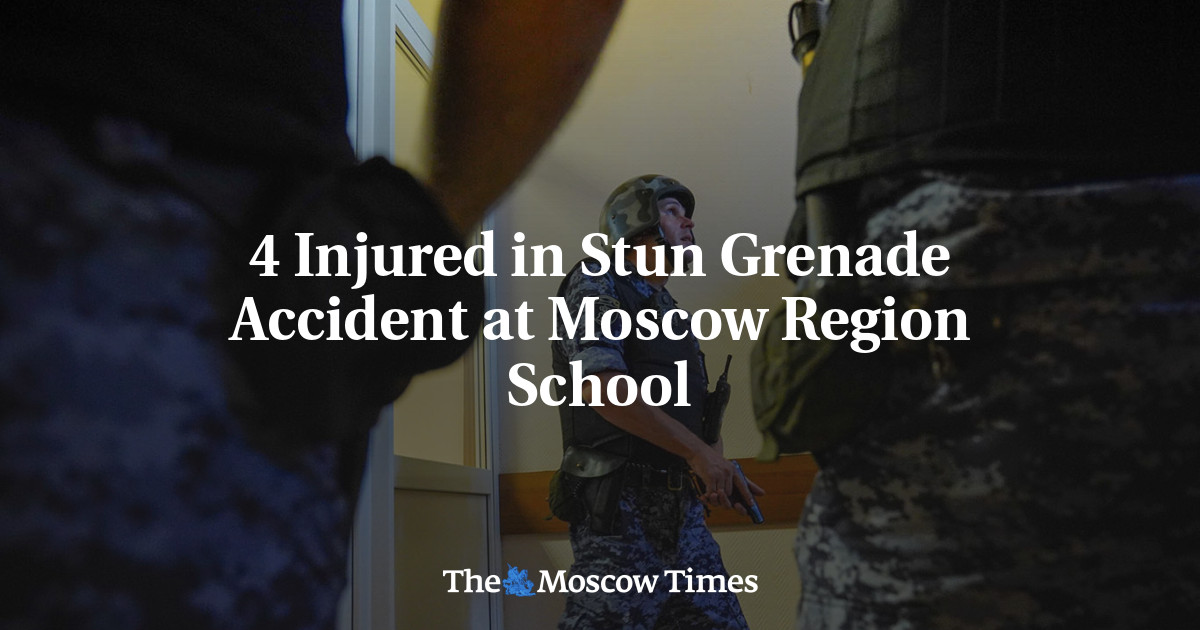 4 Injured in Stun Grenade Accident at Moscow Region School