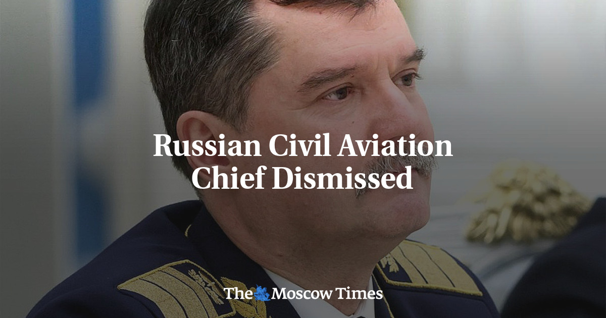 Russian Civil Aviation Chief Removed from Position – The Moscow Times