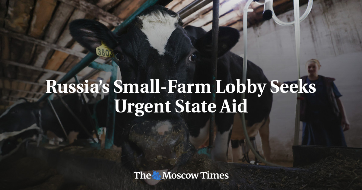 Russia’s Small-Farm Lobby Seeks Urgent State Aid