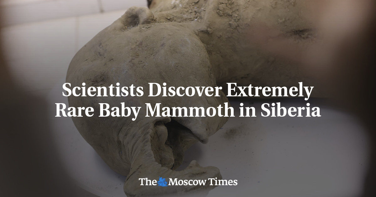 Scientists Discover Extremely Rare Baby Mammoth in Siberia