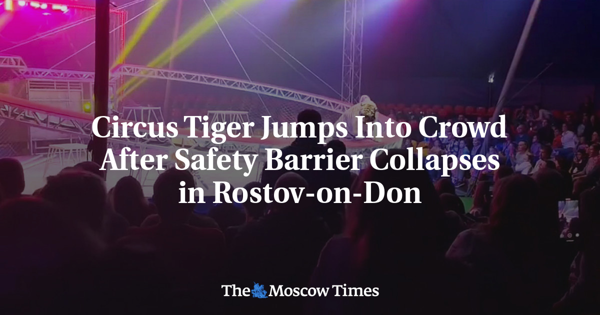 Circus Tiger Jumps Into Crowd After Safety Barrier Collapses in Rostov-on-Don