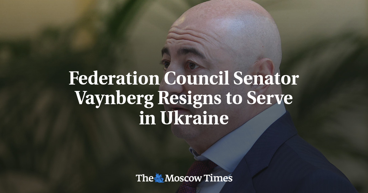 Federation Council Senator Vaynberg Resigns to Serve in Ukraine