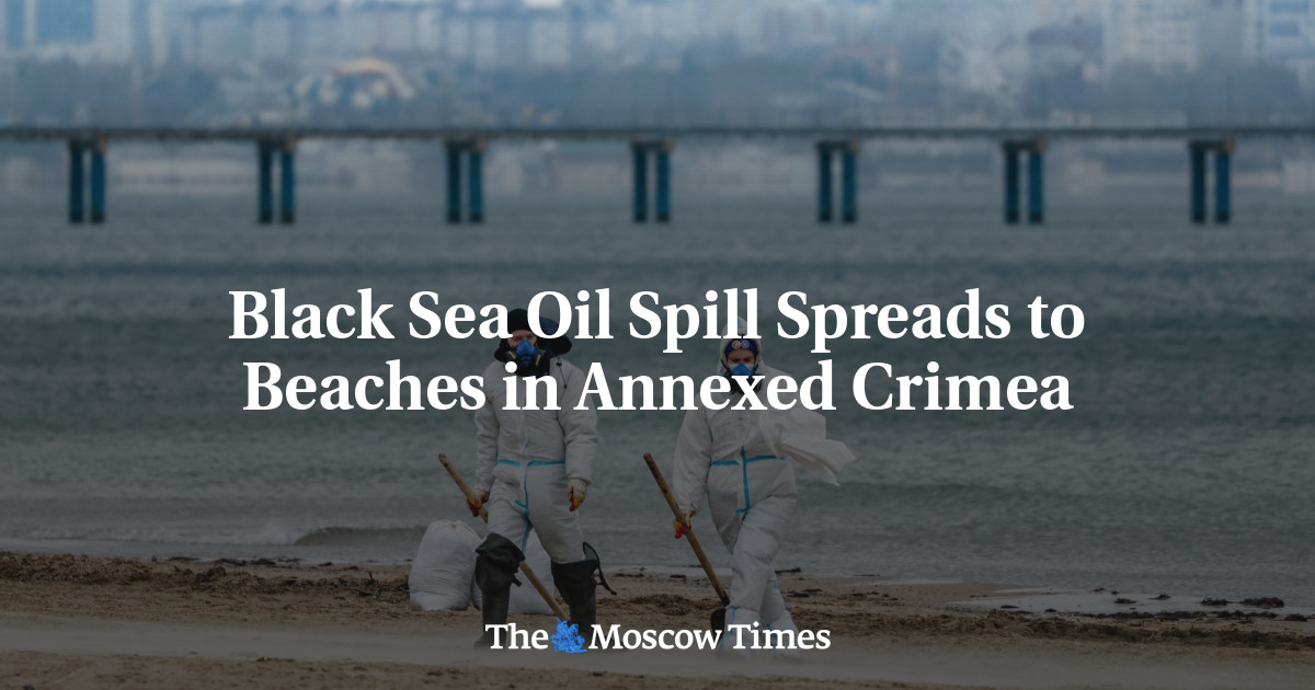 Black Sea Oil Spill Spreads to Beaches in Annexed Crimea – The Moscow Times