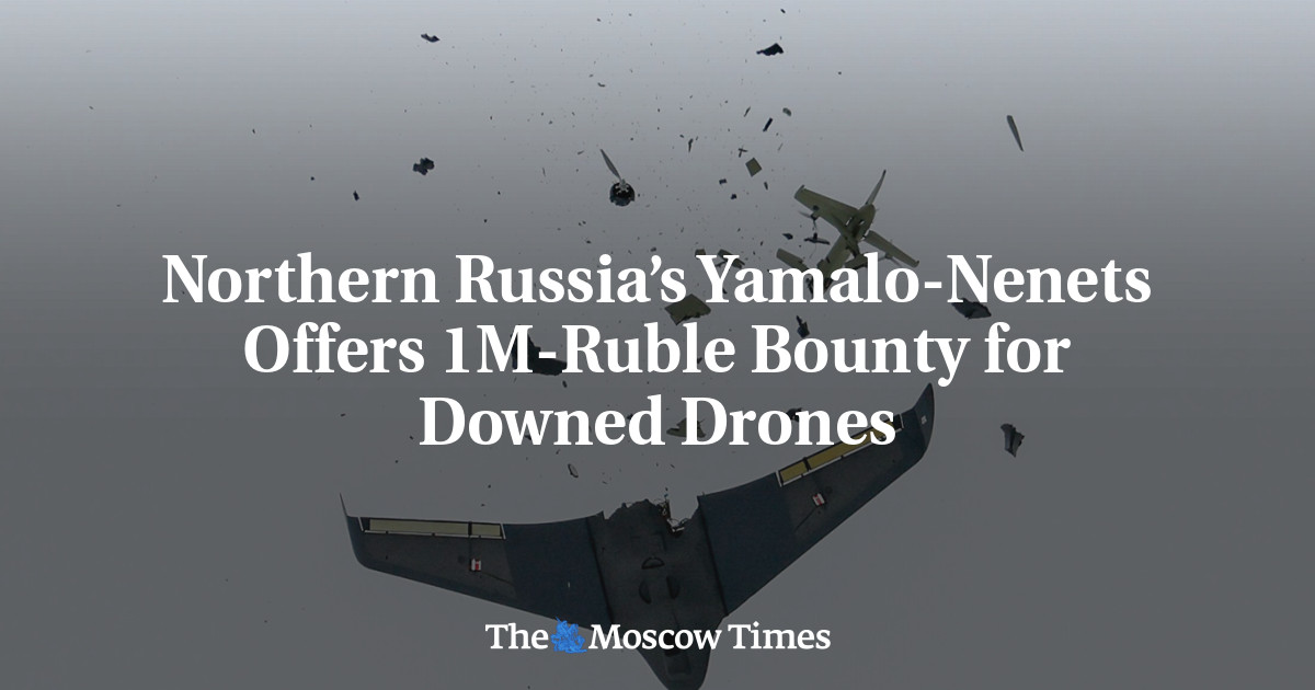 Northern Russia’s Yamalo-Nenets Offers 1M Ruble Bounty for Downed Drones