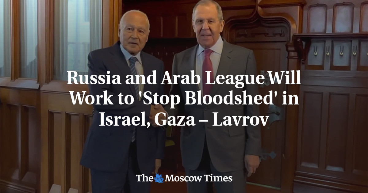 Russia and Arab League Will Work to 'Stop Bloodshed' in Israel, Gaza – Lavrov