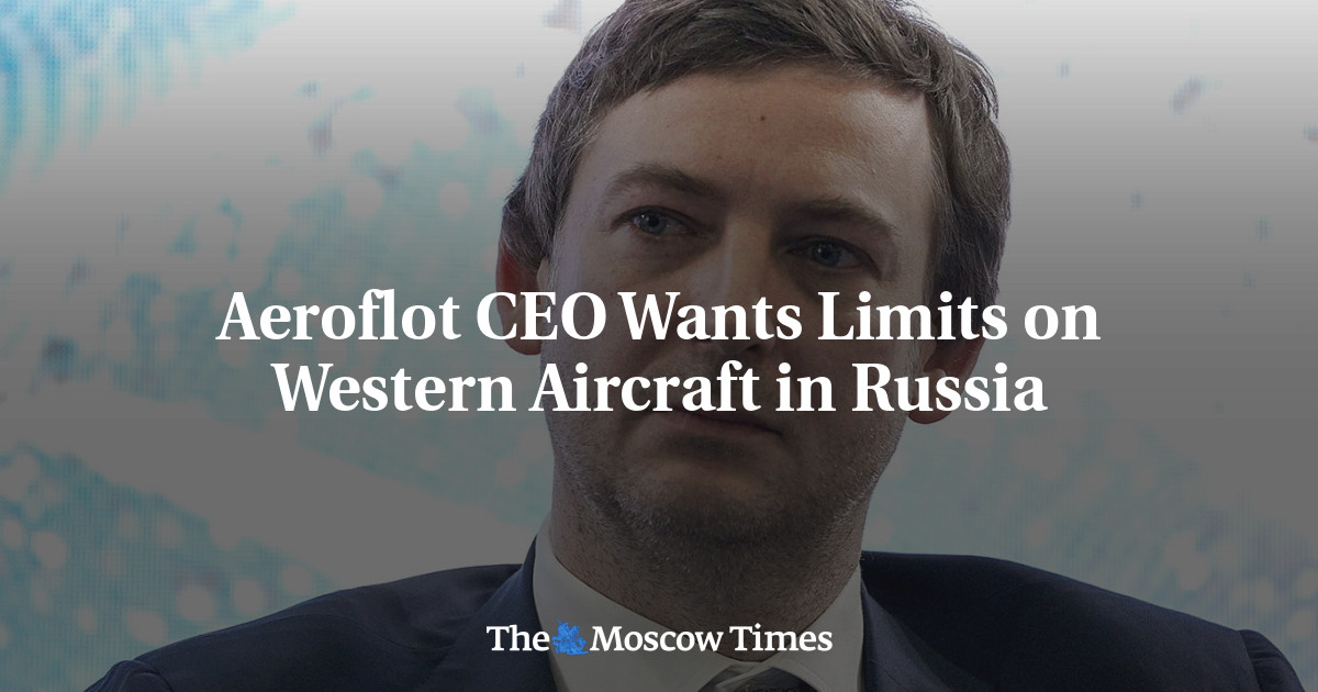 Aeroflot-CEO fordert Beschränkungen für westliche Flugzeuge in Russland