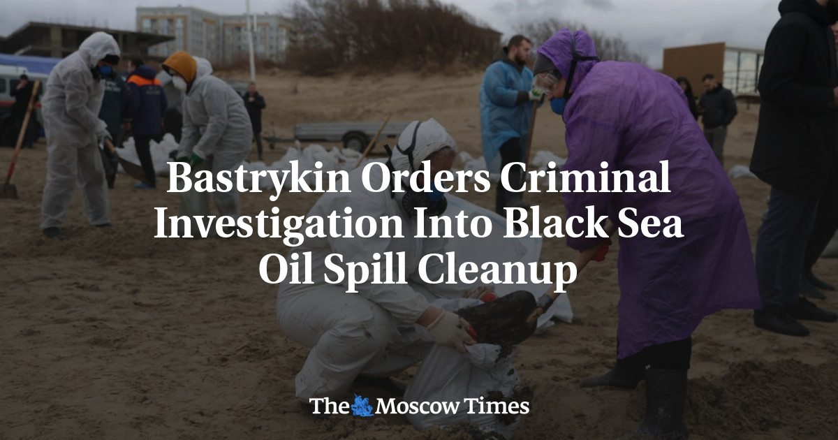 Bastrykin Orders Criminal Investigation Into Black Sea Oil Spill Cleanup