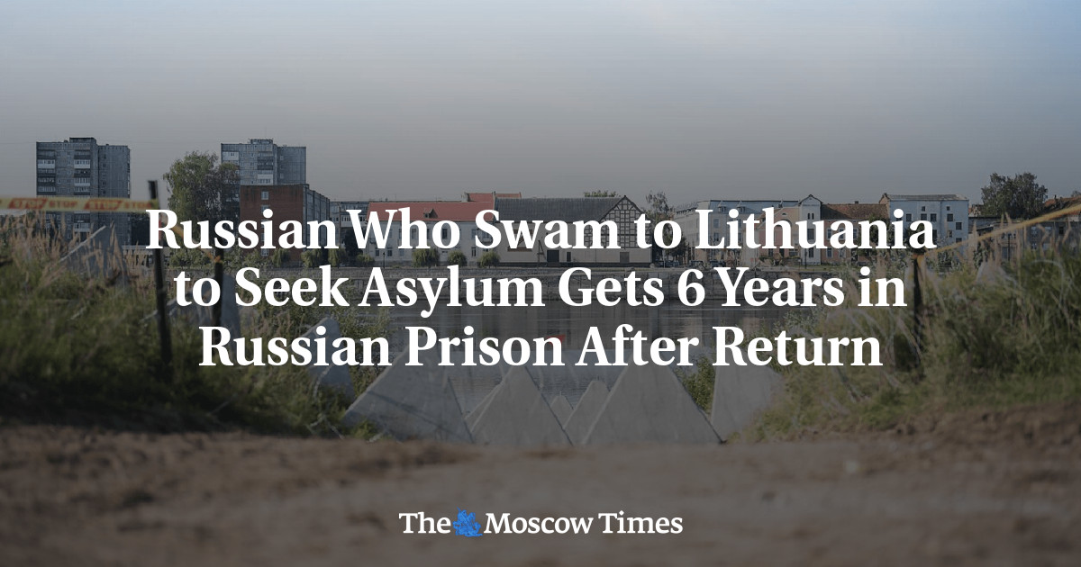 Russian Who Swam to Lithuania to Seek Asylum Gets 6 Years in Russian Prison After Return