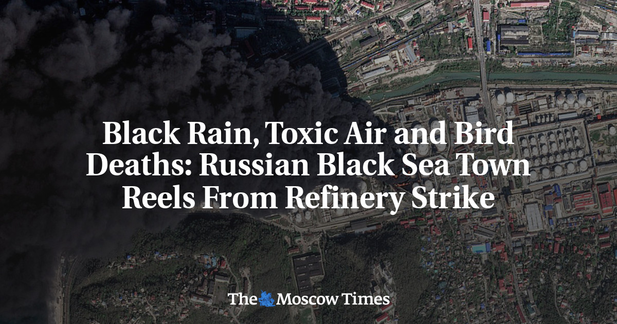 Black Rain, Toxic Air and Bird Deaths: Russian Black Sea Town Reels From Refinery Strike