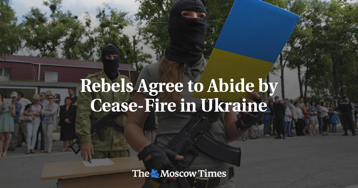 Pemberontak setuju untuk mematuhi gencatan senjata di Ukraina