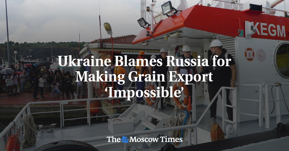 Ukraina menyalahkan Rusia karena membuat ekspor biji-bijian ‘tidak mungkin’