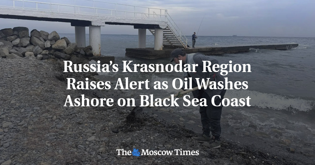 Russia’s Krasnodar Region Raises Alert as Oil Washes Ashore on Black Sea Coast