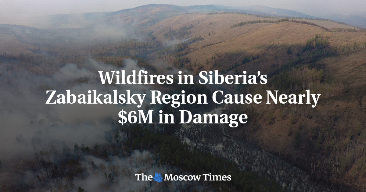 Wildfires in Siberia's Zabaikalsky Region Cause Nearly $6M
