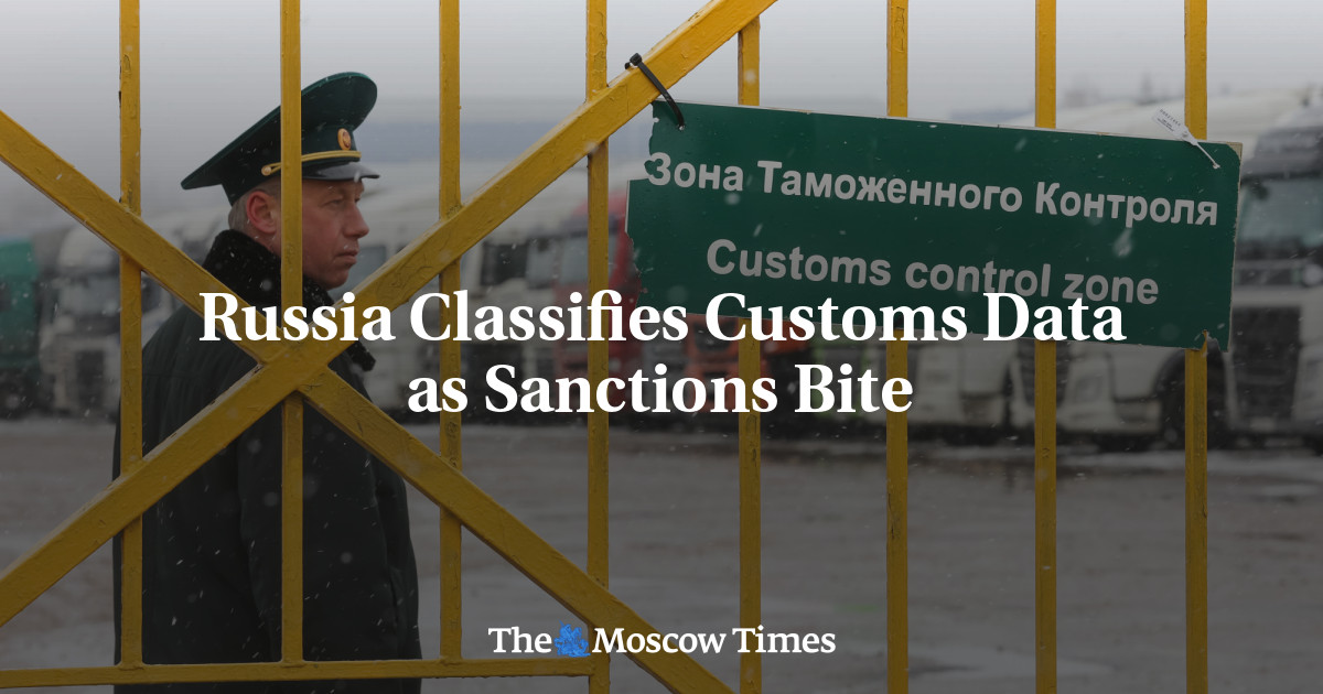 Russia Classifies Customs Data As Sanctions Bite - The Moscow Times