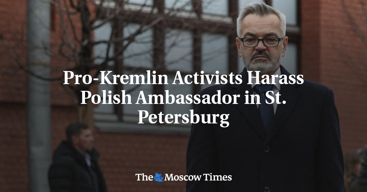 Pro-Kremlin Activists Harass Polish Ambassador in St. Petersburg