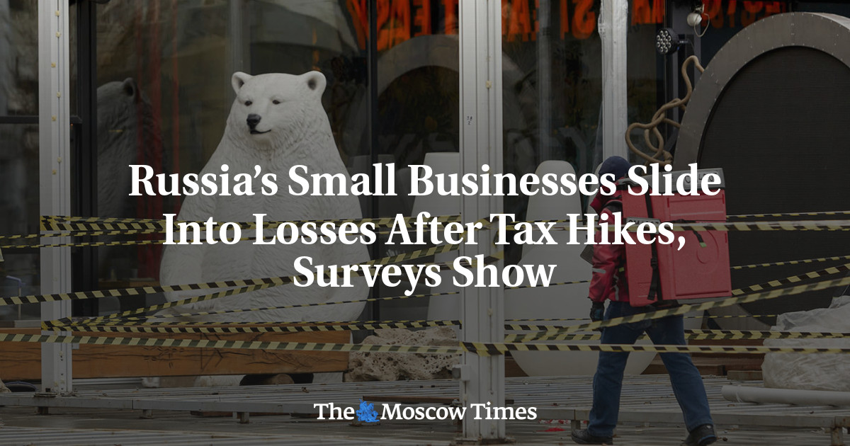 Russia’s Small Businesses Slide Into Losses After Tax Hikes, Surveys Show