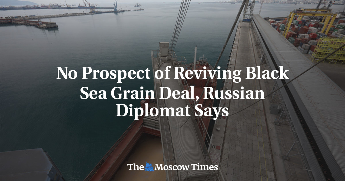 No Prospect of Reviving Black Sea Grain Deal, Russian Diplomat Says